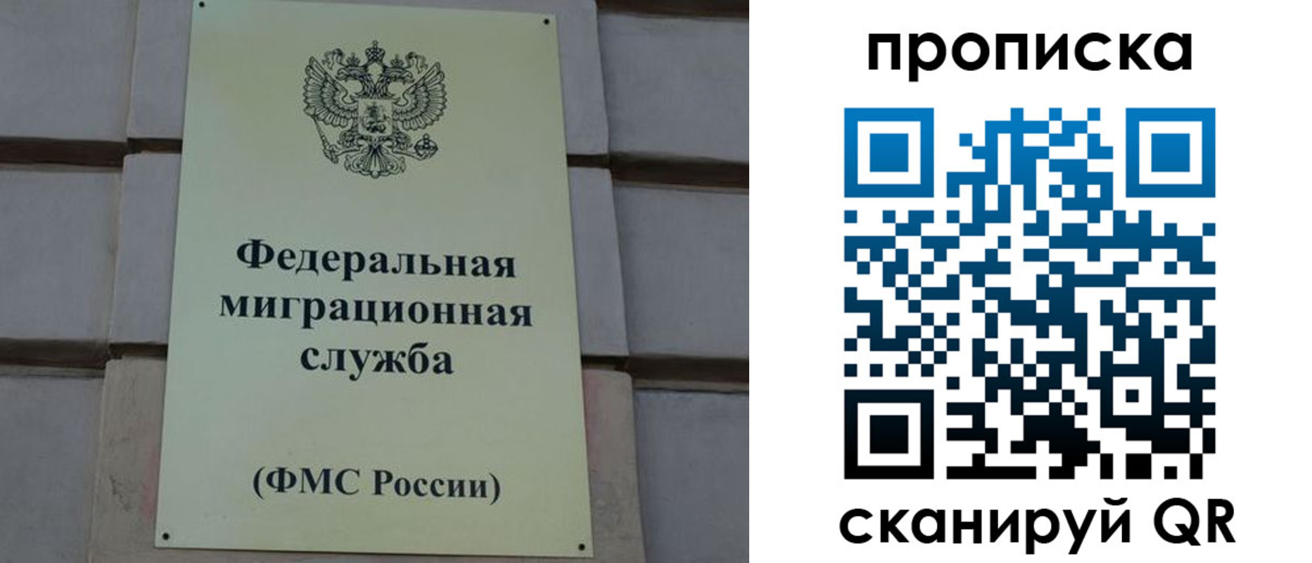 прописка поиск в Марий Эл